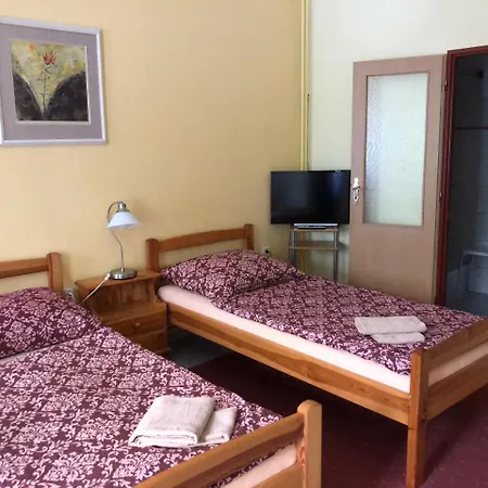 U Náhonu Maison d'hôtes Chrudim