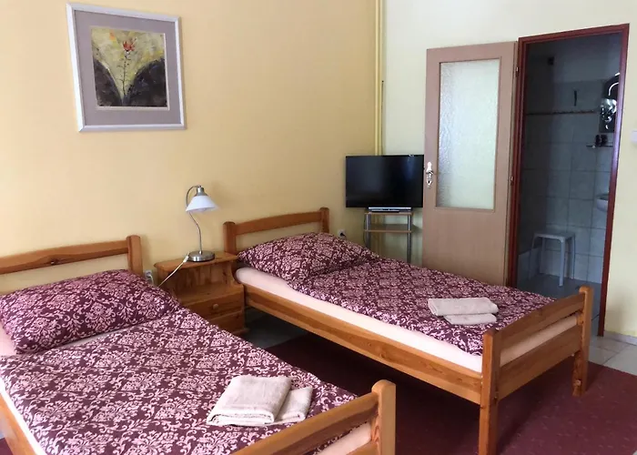 U Náhonu Pensión Chrudim